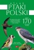 Atlas ptaków Polski 
