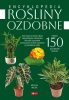 Rośliny ozdobne 