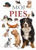 Mój pies 