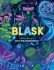 Blask. Wydawnictwo Wilga 