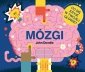 Mózgi 