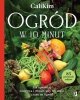 Ogród w 10 minut. Jak uprawiać warzywa i owoce, gdy nie masz czasu na ogród 