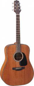 TAKAMINE GD11MS-NS