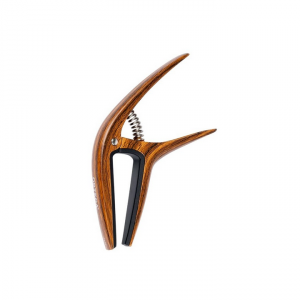 ORTEGA TWCAPO-WND