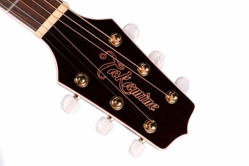 TAKAMINE GN75CE-WR