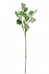 Gałązka eukaliptusa - 20TJ089