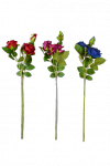Róża z pąkiem 3 kwiaty MIX - 20TJ099