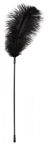 Bad Kitty Black feather - piórko do łaskotania czarne