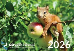 Kalendarz trójdzielny 2026 - #1 