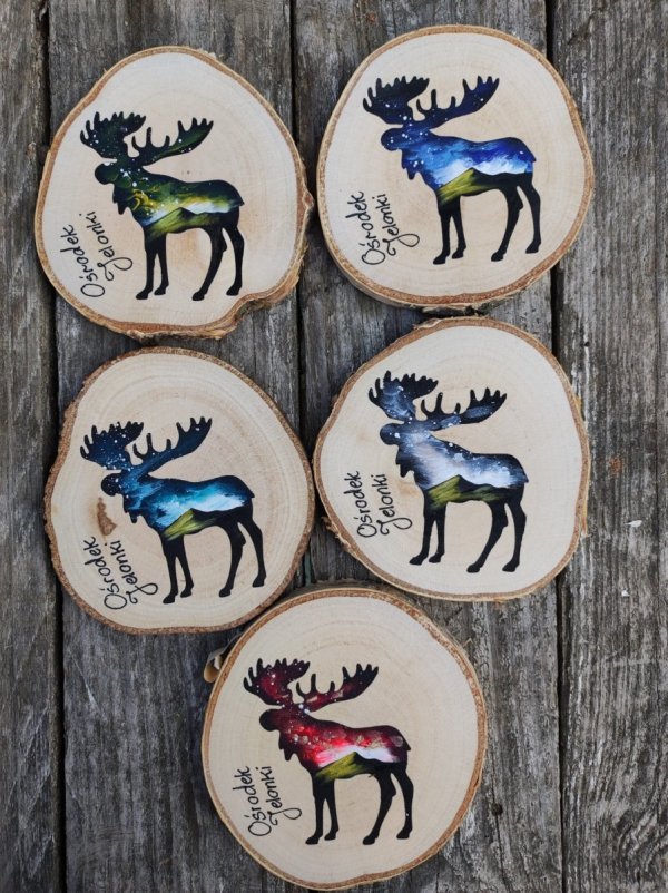 Magnes Specjalny - Łoś