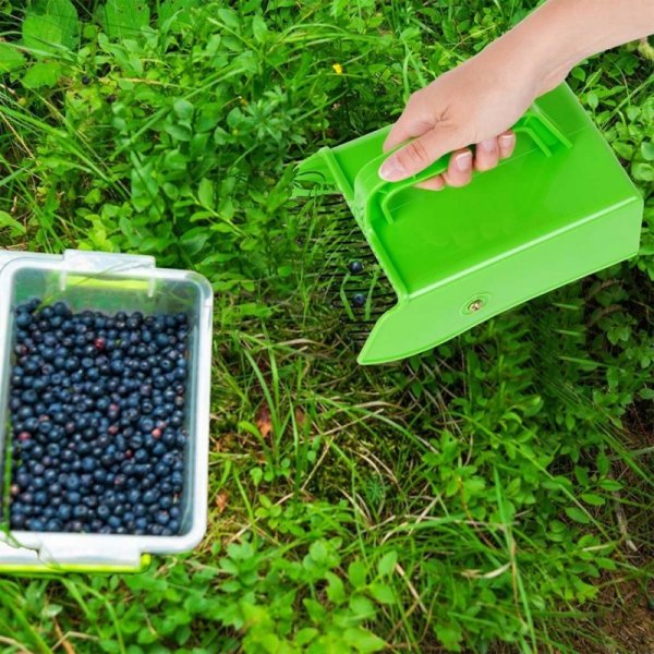 ZBIERACZKA GRZEBIEŃ DO ZBIERANIA JAGÓD BORÓWEK 489295