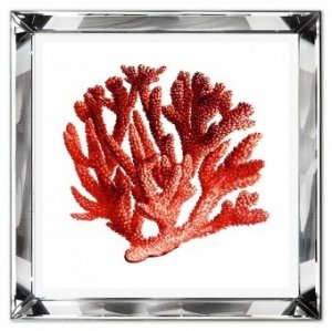 Reprodukcja w szklanej lustrzanej ramie koral