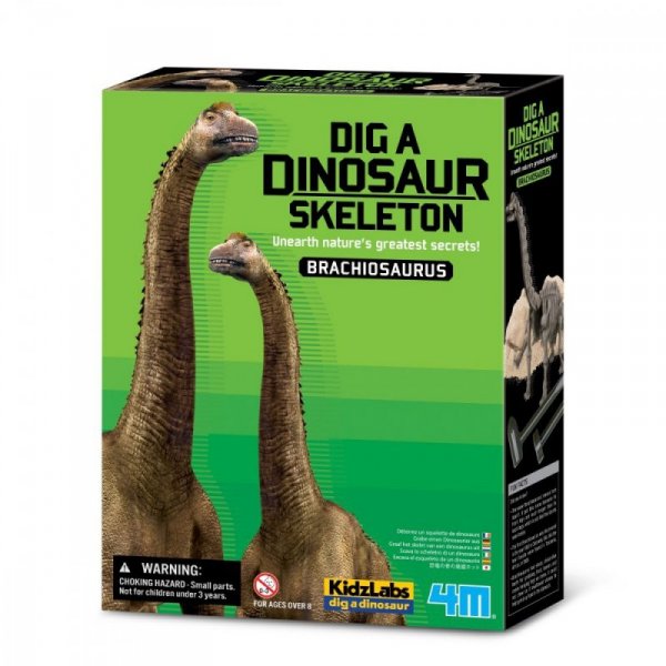 4m Zestaw naukowy Wykopaliska - Brachiozaur