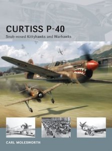 AIR VANGUARD 11 Curtiss P-40
