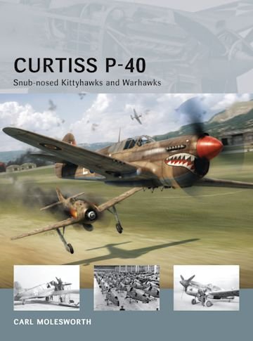 AIR VANGUARD 11 Curtiss P-40