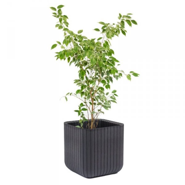 Doniczka Keter Cube Wood Planter L antracyt