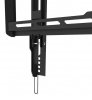 Neomounts by NewStar Uchwyt ścienny WL35-550BL14  32-65 cali