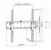 Gembird Uchwyt ścienny do telewizora (regulowany), 32 cale-55 cali,  (40 kg)