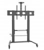 Techly Stojak Mobilny do Tablic interaktywnych 52-110cali, 120kg, płynna regulacja