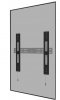 Neomounts Uchwyt AWL-250BL16 800X450-600 ADPATER VESA