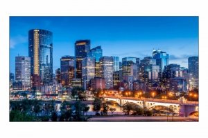 Samsung Monitor digital signage  cali profesjonalny VM55C-R 55