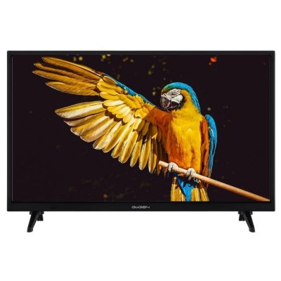 Telewizor GoGEN TVH24A336 24 cale