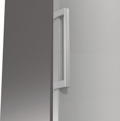 Gorenje Chłodziarka R619EES5