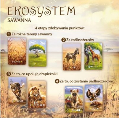 Nasza księgarnia Gra Ekosystem 3 - Sawanna