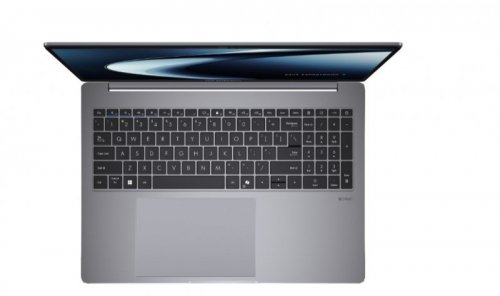 Asus Notebook ExpertBook P3 PM3606CKA-MB0197X - Ryzen AI 5 330/16GB/512GB/16 WUXGA/Win 11 PRO/3YRS
