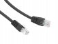 Gembird Patch cord Kat.6 UTP 5m czarny 