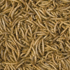Tropical Mealworms 250ml puszka Suszone larwy mącznika młynarka Pokarm dla gadów