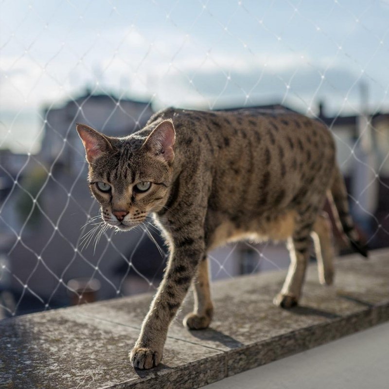 duvo+ Siatka ochronna transparentna na balkon 4x3m 