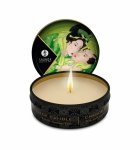 SHUNGA Świeca/Olejek - Zenitude / Exotic Green Tea Massage Candle 30 ml