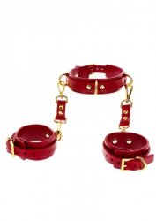 D-Ring Collar and Wrist Cuffs Red