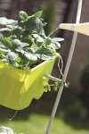 Blumenkasten Balkonkasten crown 240 anthrazit