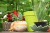 Blumentopf Pflanztopf Massiv classic 46 terrakotta