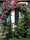 Rosenbogen Torbogen Rankgitter Rankhilfe Rankbogen Pflanzbogen grün 240cm Höhe