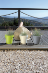 Blumentopf Blumenkübel Pflanzkübel Lofly 600mm anthrazit mit Rollen