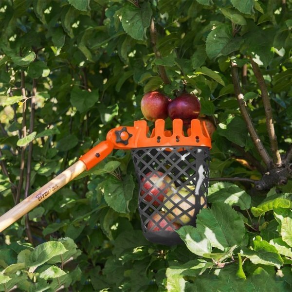Obstpflücker Apfelpflücker Obsternter Kirschpflücker Korb Pflücker Stiel 150cm
