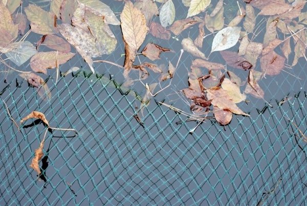 Teichnetz Vogelschutznetz Laubnetz Gartennetz Pflanzenschutznetz 2x10m
