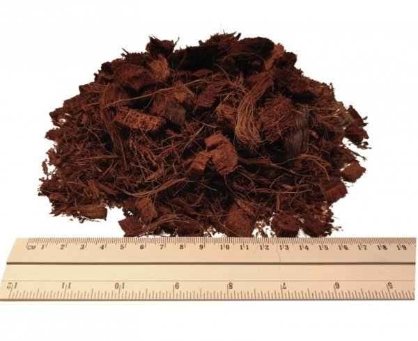 Kokoschips Kokosfasern-Chips Kokosnussschalenfasern Sack 5L Bodengrund Mulch