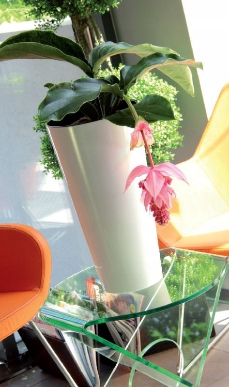 Blumentopf Blumenkübel Pflanztopf Pflanzkübel Hochglanz Rund Glänzend - 300 Weiß