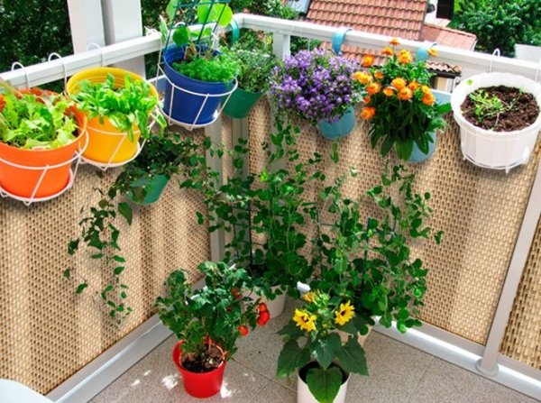 Sichtschutzmatte Balkonblende Balkonverkleidung Zaunblende Rattan - 90 cm Anthrazit