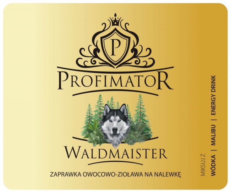 Bezalkoholowy koncentrat do przygotowywania napojów alkoholowych WALDMAISTER box 9x300ml