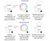 Pilot do LED naścienny PANEL RGB 1 strefa S2-W Miight