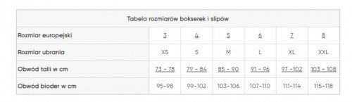 Majtki męskie Sloggi Men Basic Mini Szare