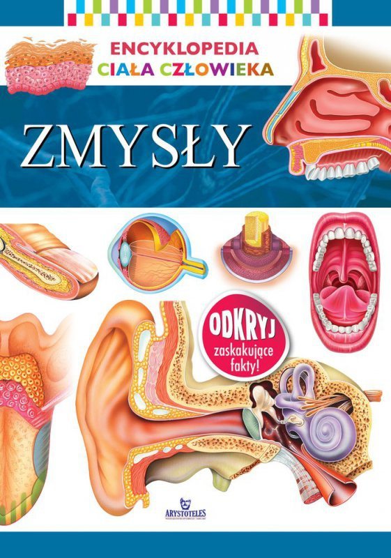 Zmysły encyklopedia ciała człowieka