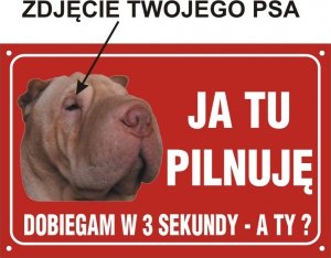 Zdjęcie Twojego psa- Ja tu pilnuję