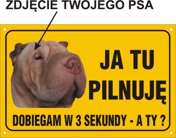 Zdjęcie Twojego psa- Ja tu pilnuję