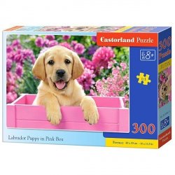 Puzzle 300 elementów Labrador w pudełku